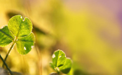 防水砂浆验收标准规范 防水砂浆验收标准规范最新 一篇读懂!